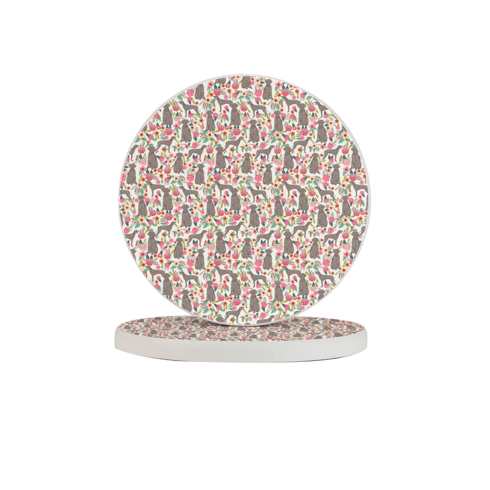 Weimaraner Two Pieces Drink Coaster for Tabletop Protection Place Mats for Home Decor