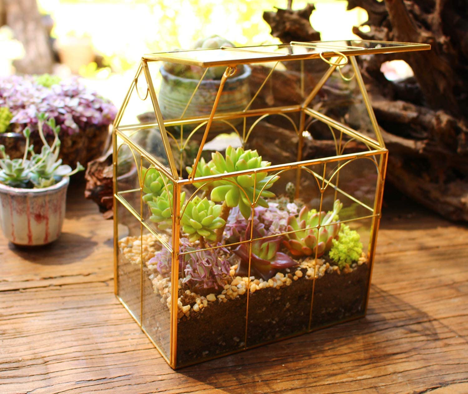 ELEGANTLIFE Szklana geometryczna roślina, terrarium, sukulenty i doniczka powietrzna do domu, ogrodu, biura, dekoracja (złoty dom)