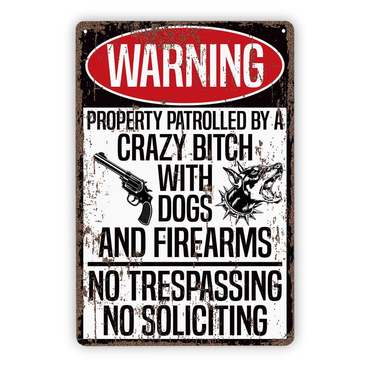 Vintage Metal Tin Signs, Funny Metal Decor, No Trespassing Sign, No Soliciting Sign, Crazy Bastard Signs, Dog Warning Decor, Courtyard Porch Decorate, Funny Yard Decoration Metal Tin Sign 8X12 Inch