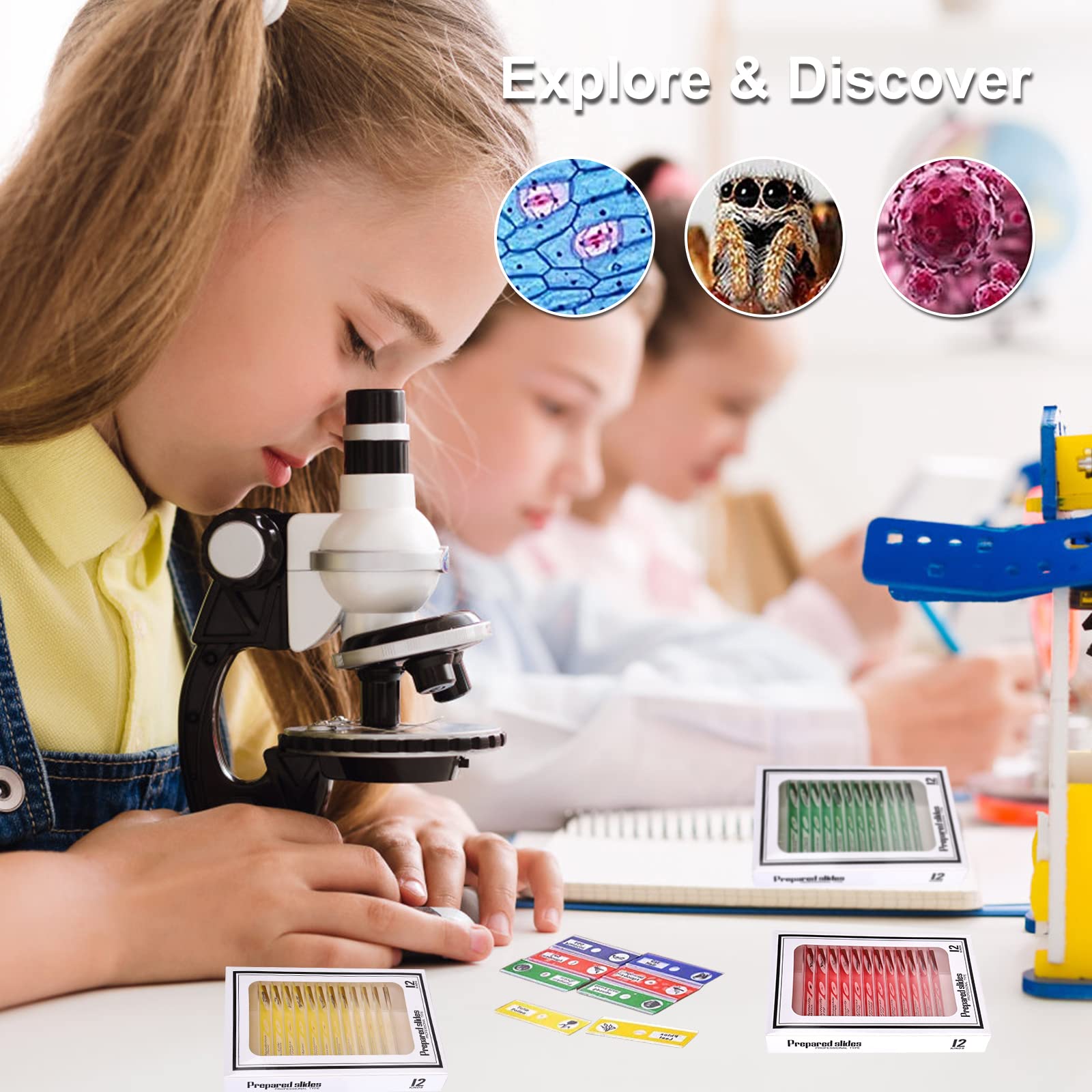 Vegena 60 sztuk szkiełek mikroskopowych, preparaty do mikroskopu dla dzieci z owadami, zwierzętami, kwiatami, roślinami, próbkami biologicznymi z tworzywa sztucznego, akcesoria dla studentów, do