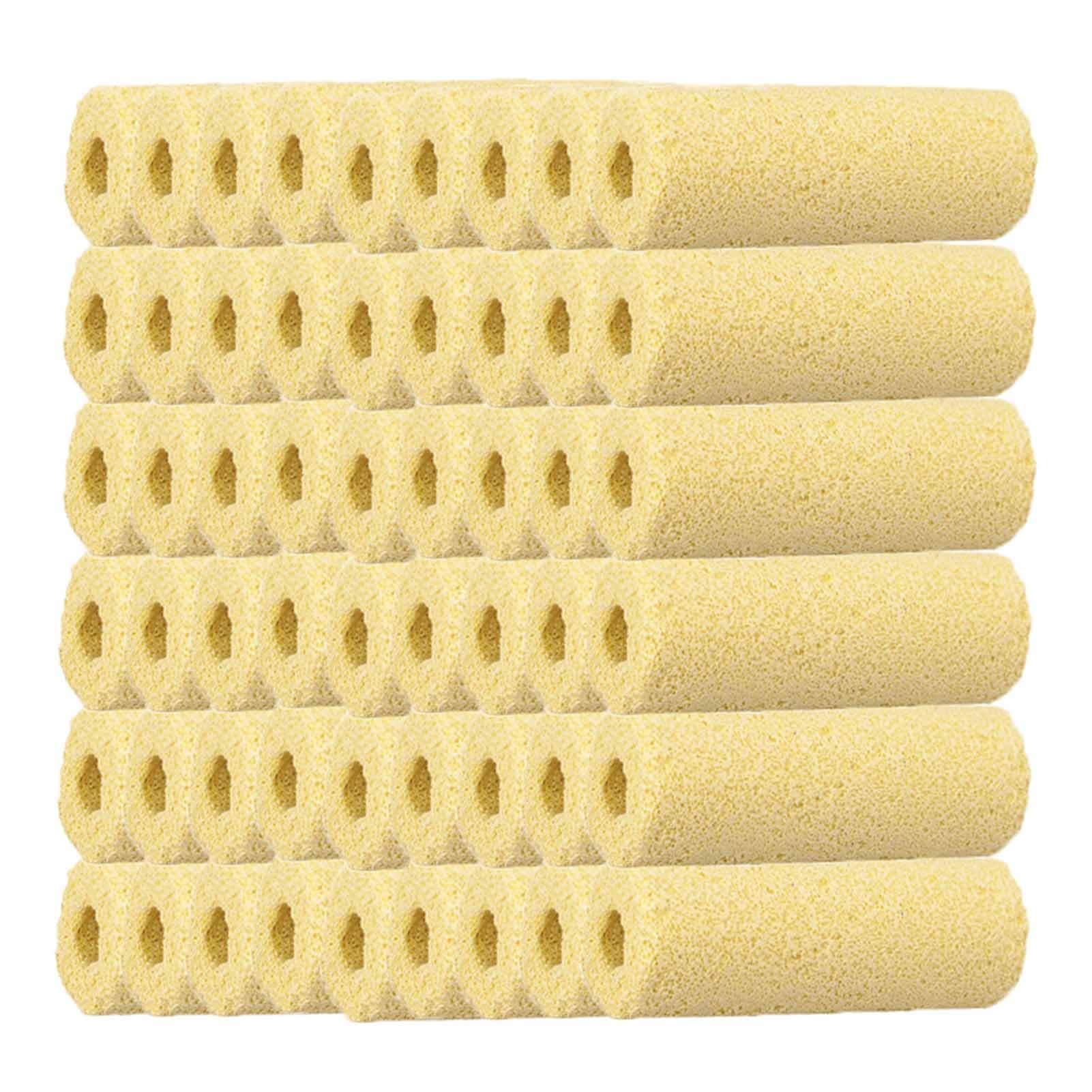 Lot de 100 filtres en céramique pour Aquarium de 6,2 Pouces, pour Filtre de Bassin et Fournitures pour Aquarium
