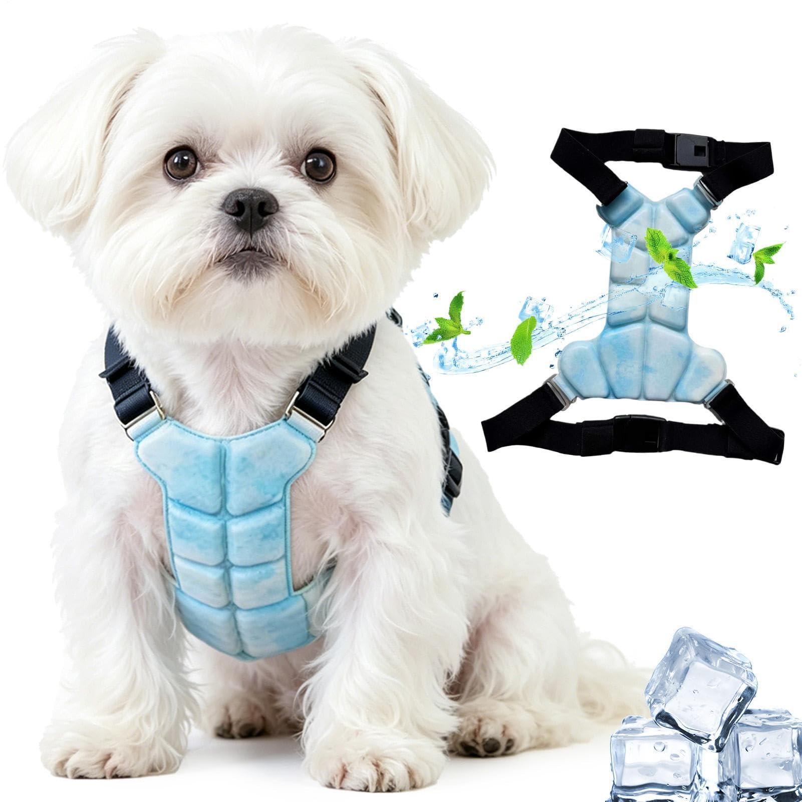 Weste für Hunde, Kleidung für Haustiere, Sommerweste, Ice Cool Pack, Kleidung zur Senkung der Temperatur, physikalische Schnalle verstellbar