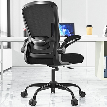 Ergonomic Mesh Office Chair with Adjustable Lumbar Support