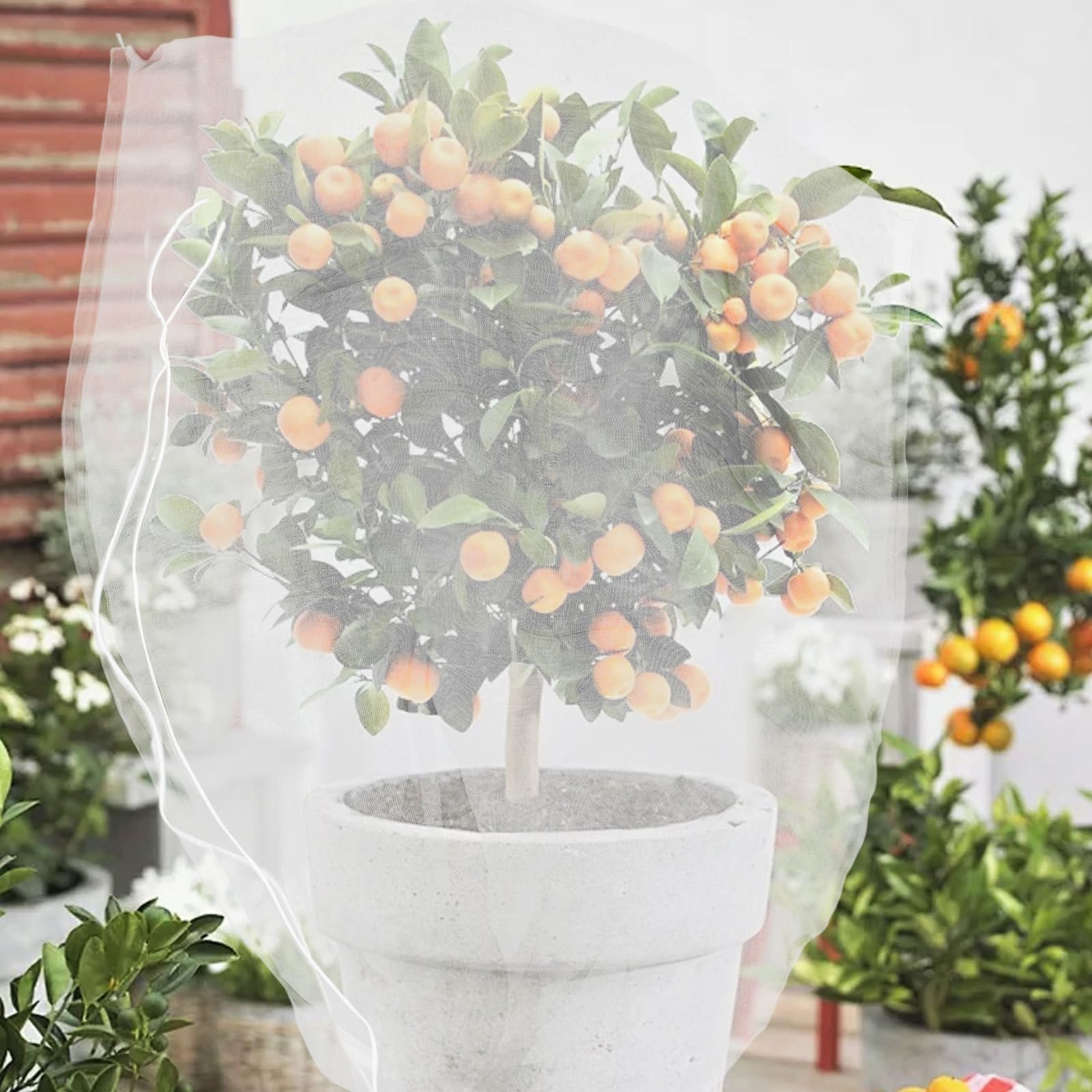 Gatuida Filets de Jardin Anti-Insectes 8 Pièces en Nylon Blanc