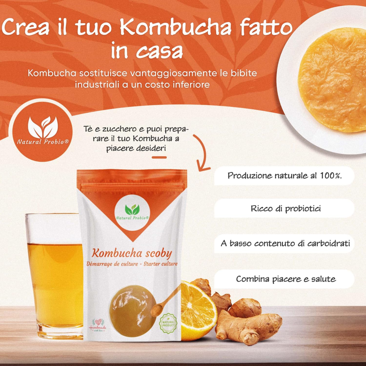 Natural Probio® Original Kombucha Scoby – Kit di avviamento per la coltivazione – Mere de Kombucha – Autentico ceppo + istruzioni complete, ricetta e consigli