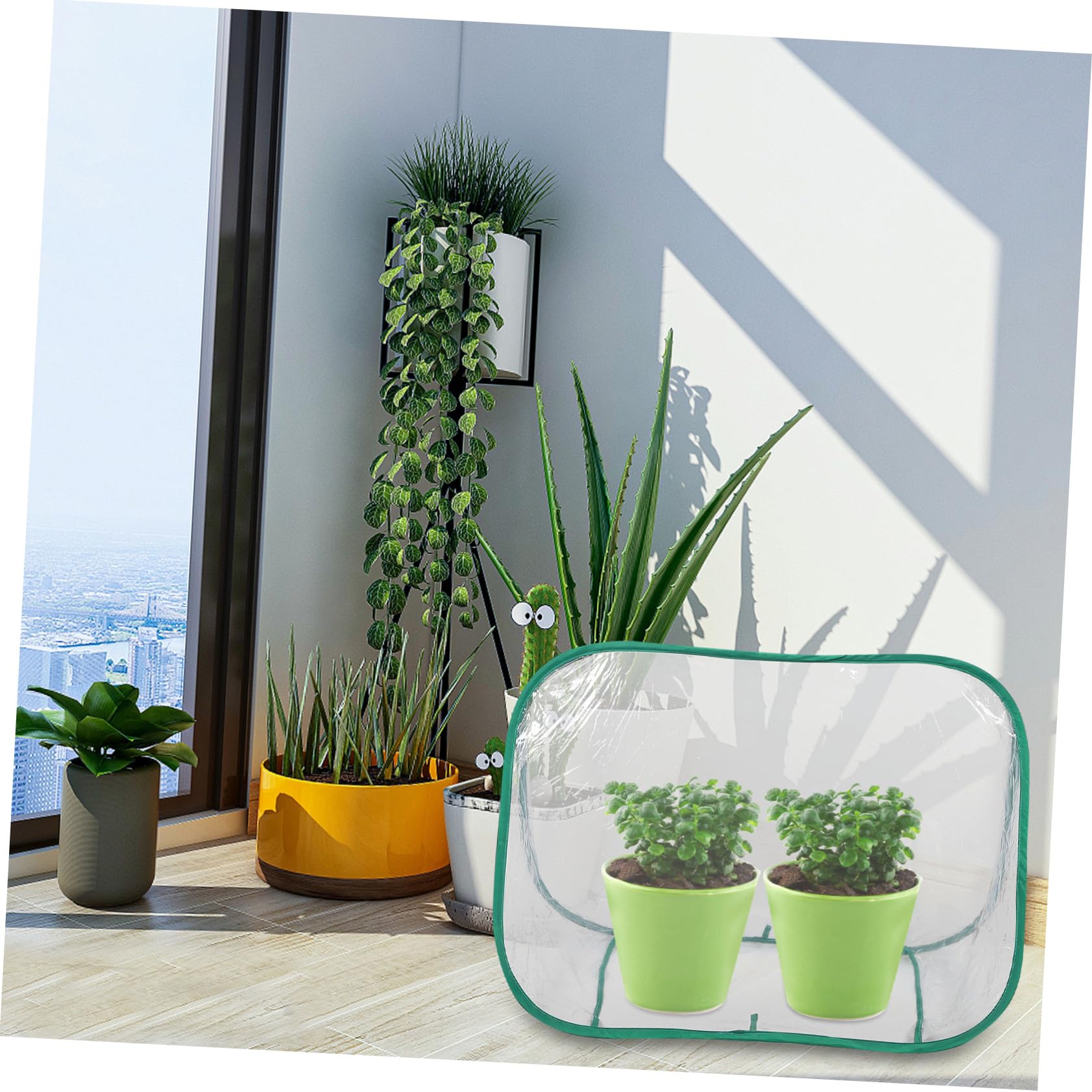 Abaodam Mini-gewächshaus Faltbar Tragbar für Kleine Pflanzen Pflanzenschutzschuppen aus PVC-Material Transparent für Balkon Garten