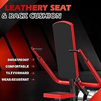 Vista 4 de Upgraded 15° Backrest Seated Dip Machine Tricep Bicep, Tricep Bicep Press Down Machine, Triceps Bicep curl Workouts with Cable Bar, Plate Loaded Dip