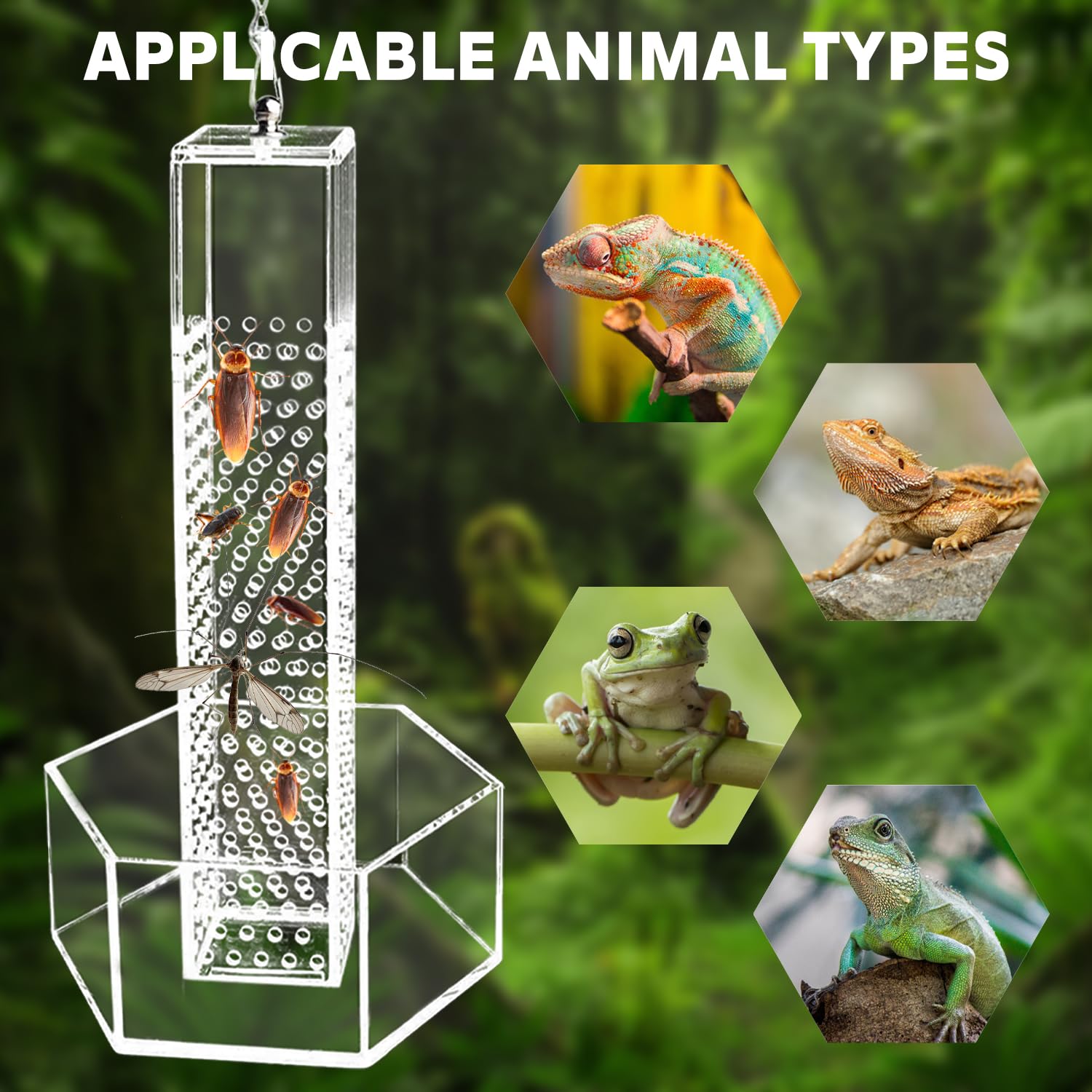 Chamäleon Futternapf Aus Acryl – Hängender Insektenspender Mit Klettersäule, Für Bartagamen, Geckos & Reptilien