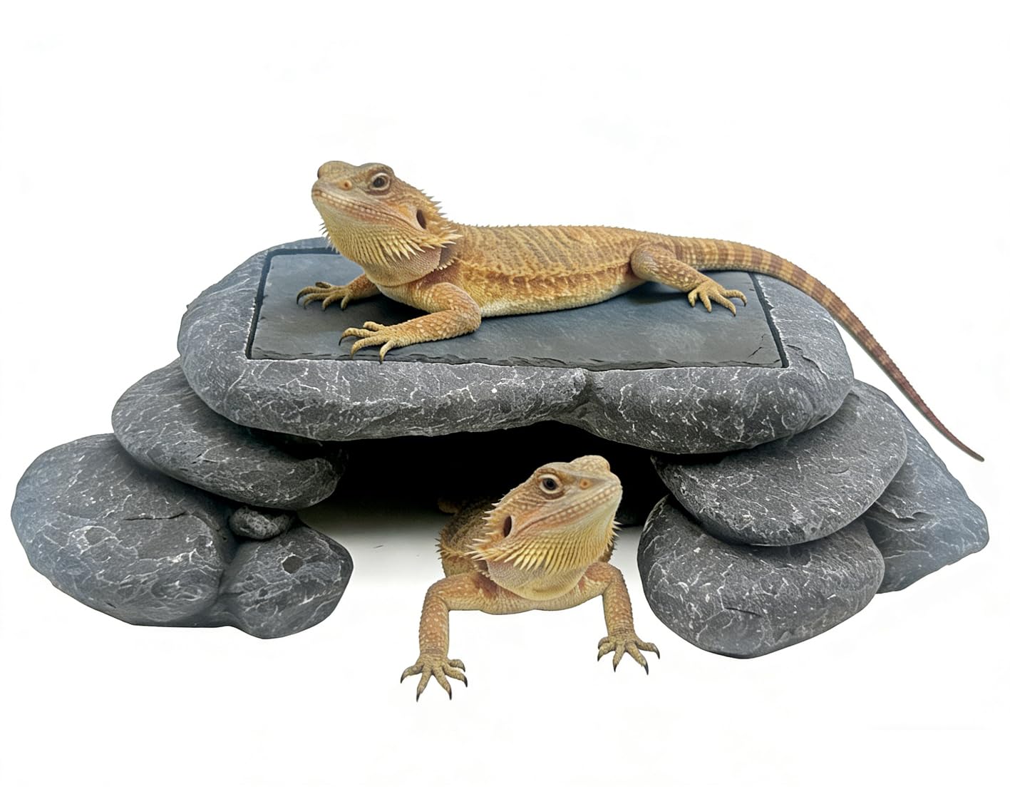Plataforma grande de dragón barbudo, piel de lagarto, serpiente o reptil con piedra de pizarra de almacenamiento de calor, 12.6 x 7 x 3.5 pulgadas
