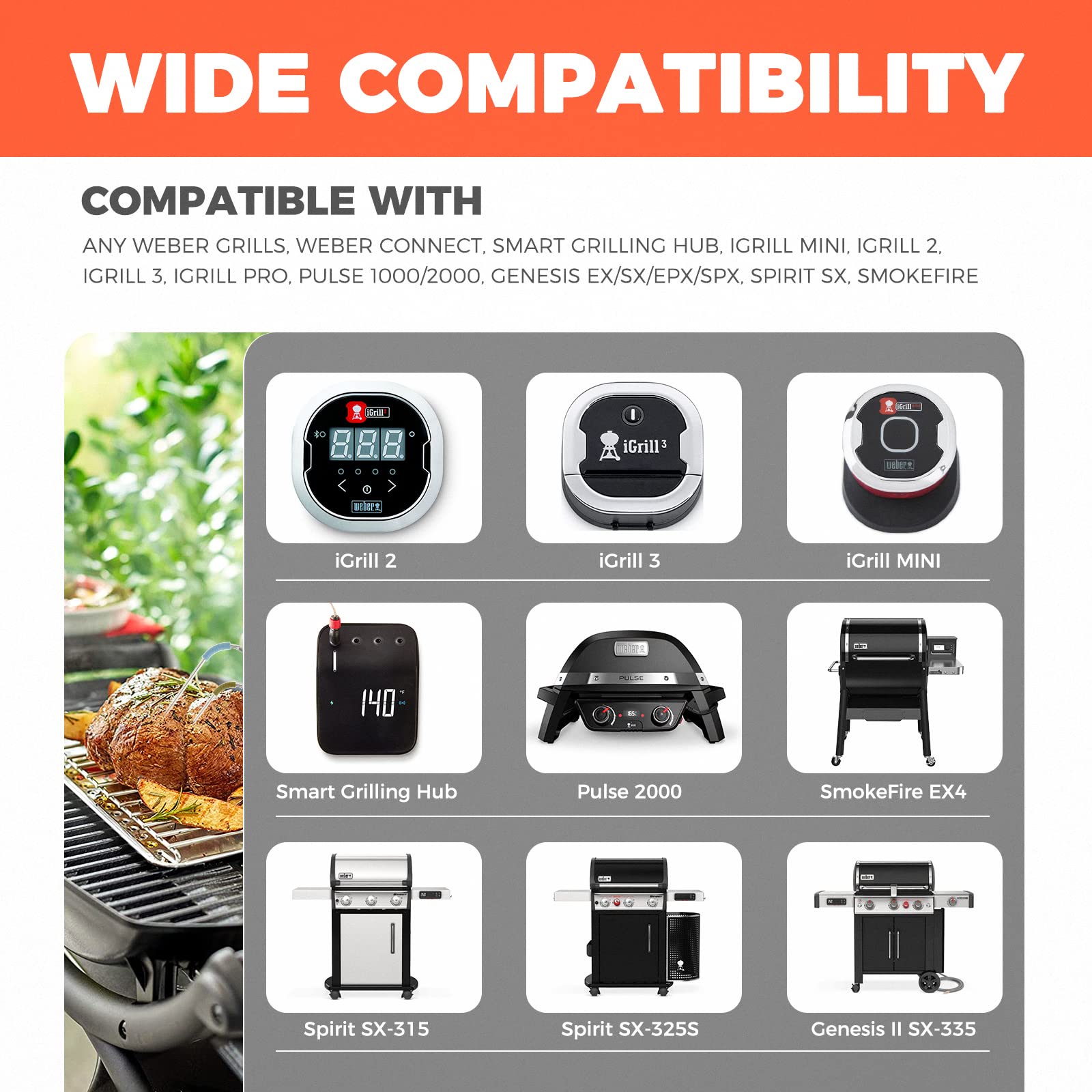 Ersatz-Fleischfühler, 2,5 mm Stecker, Temperaturfühler für Weber Igrill Mini, Igrill 2, Igrill 3, iGrill Pro, mit 2 Sondenclip-Haltern (grün und blau)