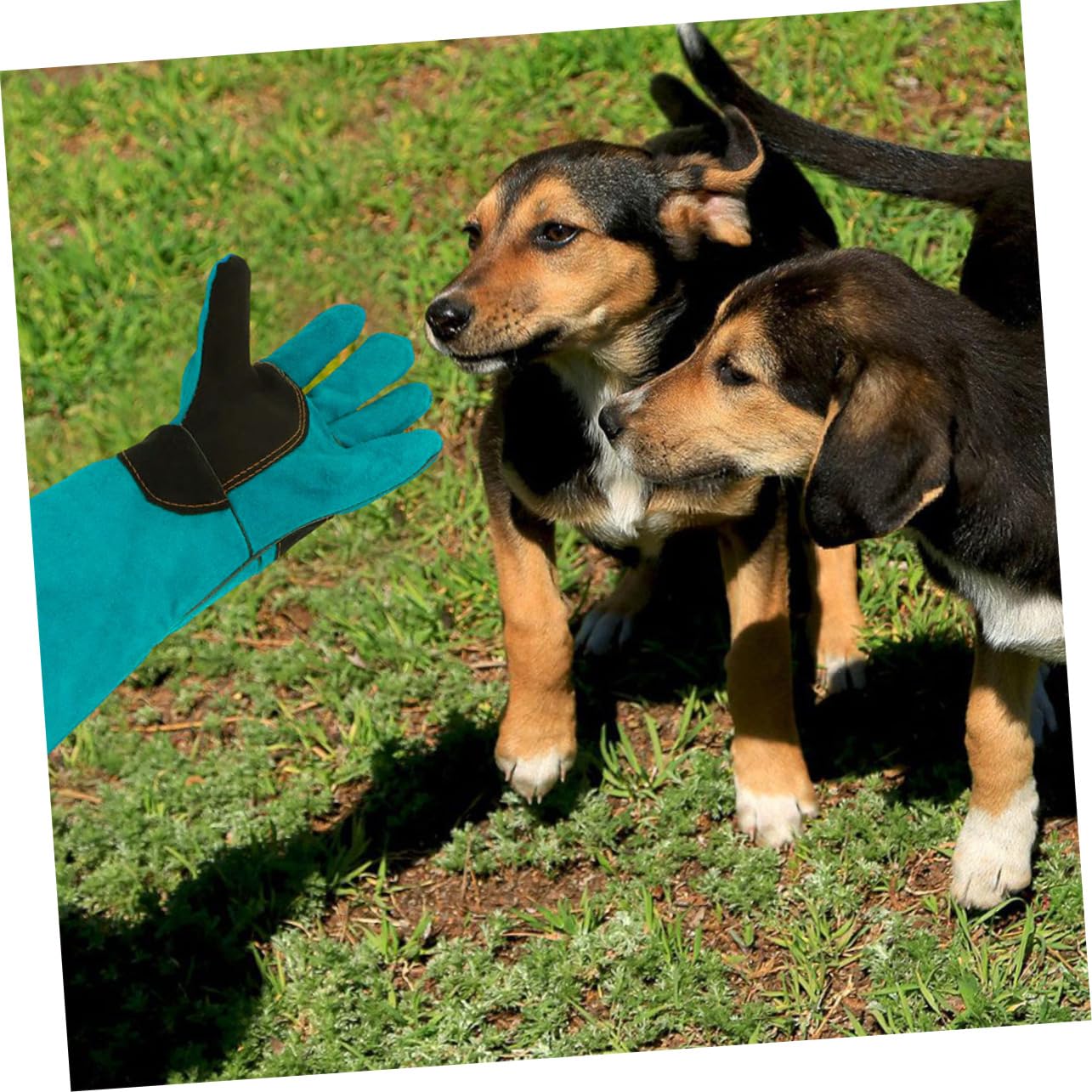 Guantes de Limpieza para Perros y Gatos, Antiarañazos, Piel Sintética