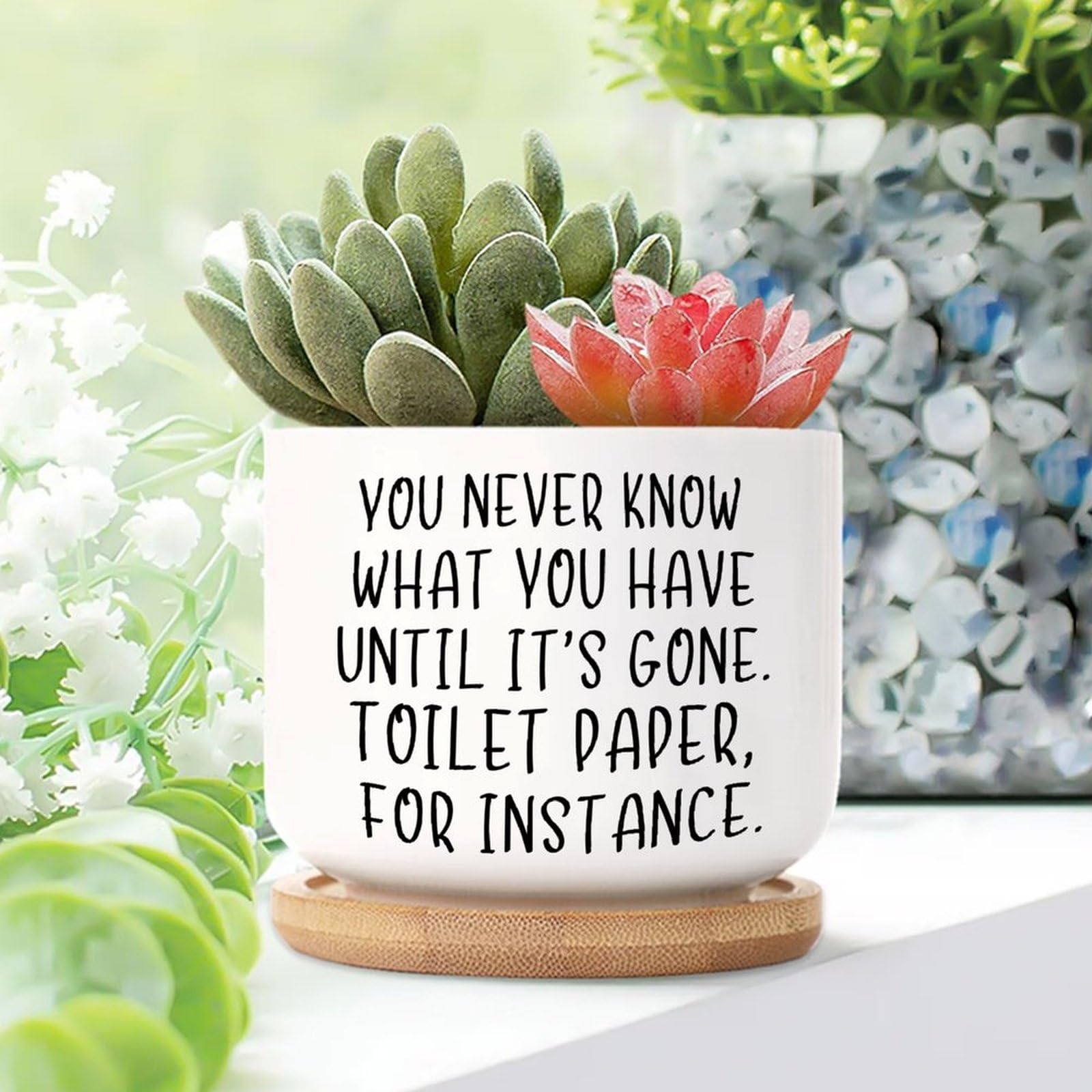 Yelolyio Style-4 You Never Know What You Have Until It's Gone Ceramic Planters Christian Saying Planters For Indoor Plants With Drainage Holes And Saucers Pot For Succulents Cactus Garden Windowsill