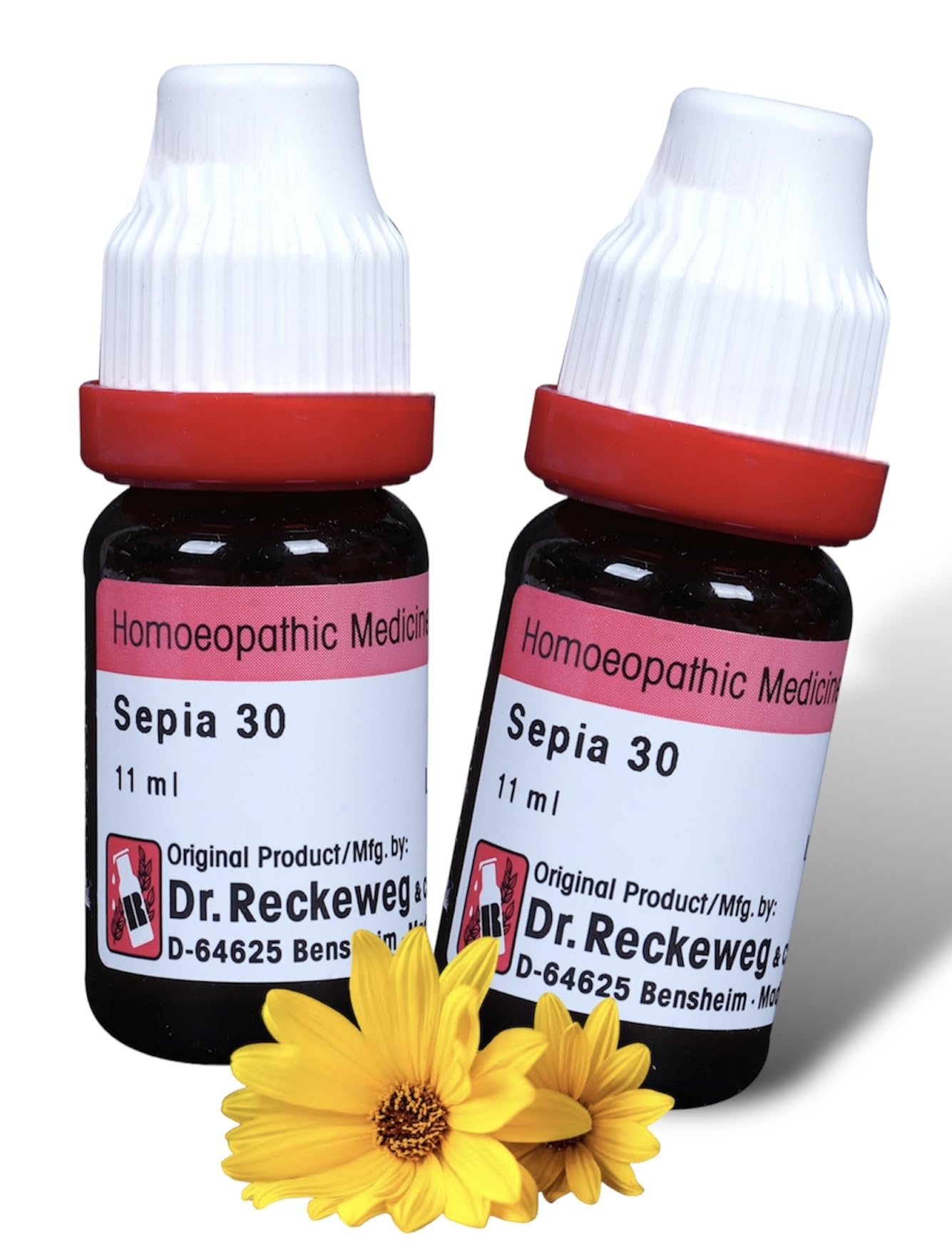 Dr Reckeweg Sepia 30 Homeopathic Medicine - 11ml X 1 BOTTLE (B0CH97PR7R) Amazon Price History, Amazon Price Tracker