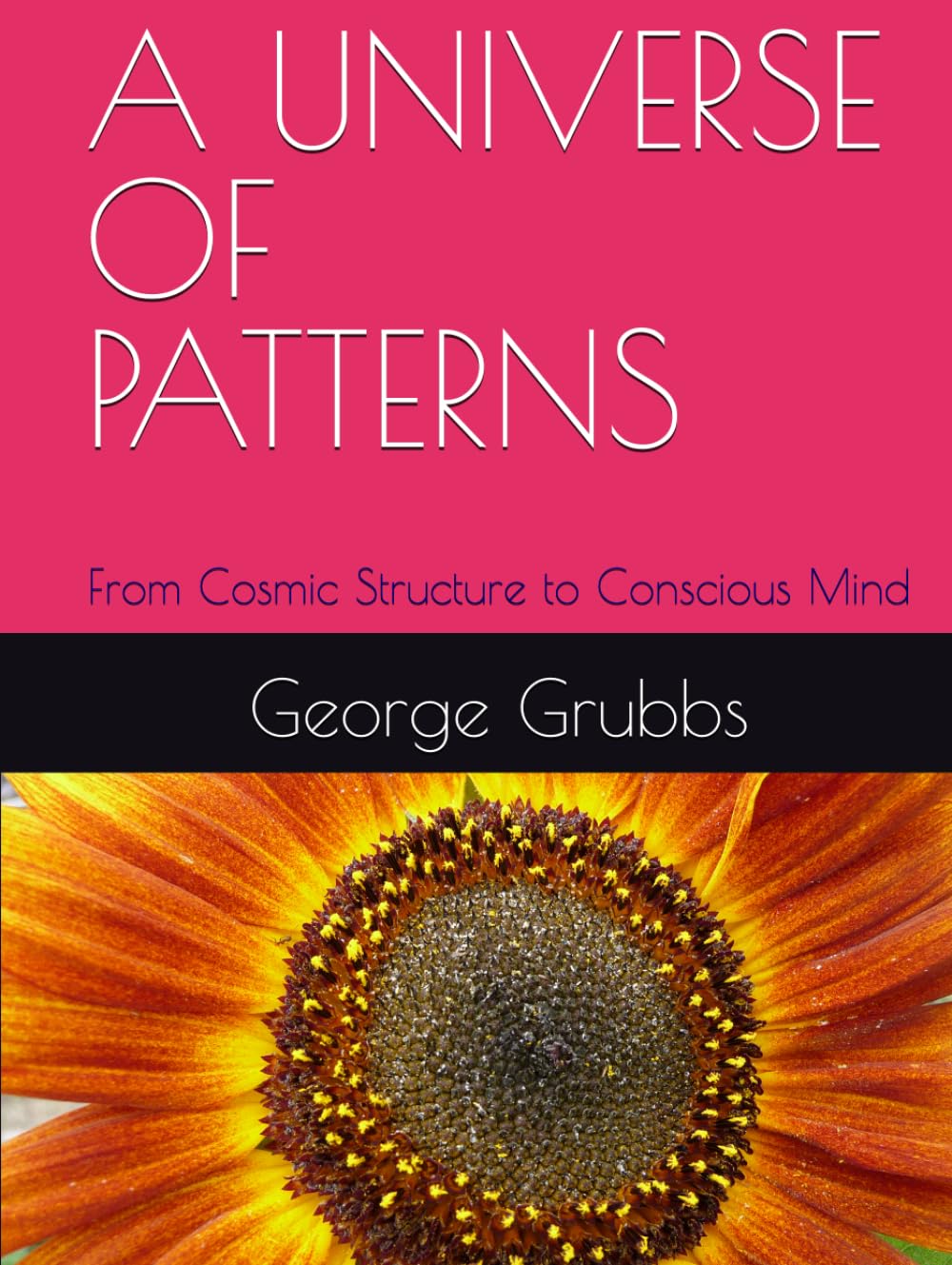 A UNIVERSE OF PATTERNS: From Cosmic Structure to Conscious Mind