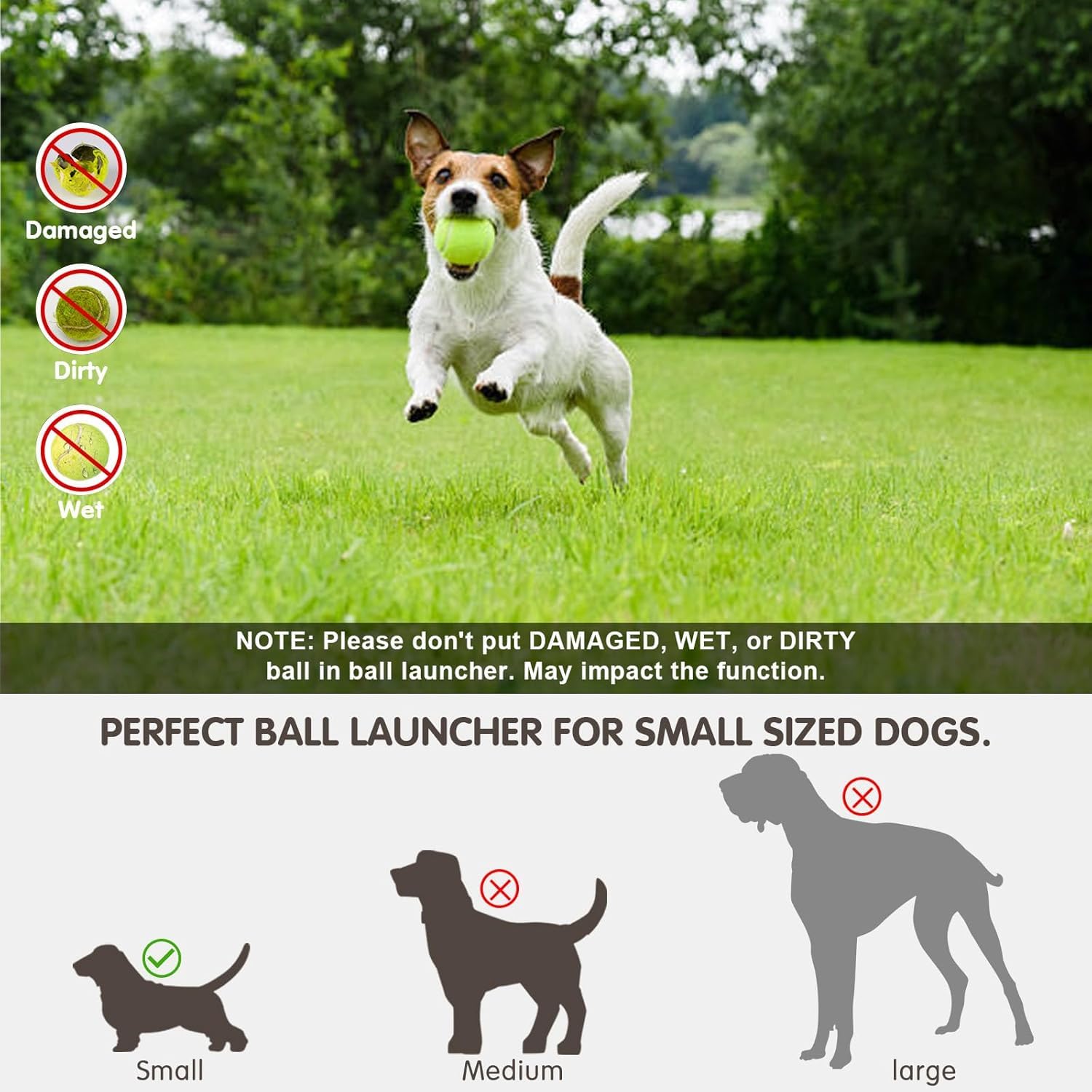 Lanceur de balle automatique avec balles de tennis, distance réglable pour jeu interactif avec chiens de petite et moyenne taille