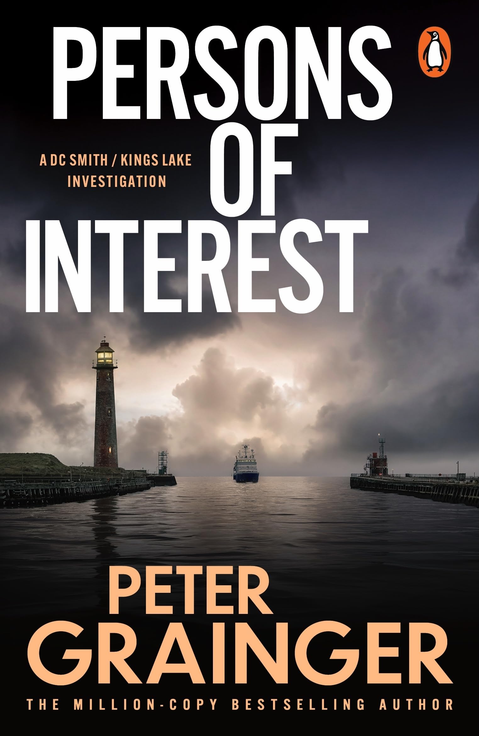 Persons of Interest: The gripping detective mystery from the million-copy-selling crime author: 4 (A DC Smith / Kings Lake Investigation Series, 4)