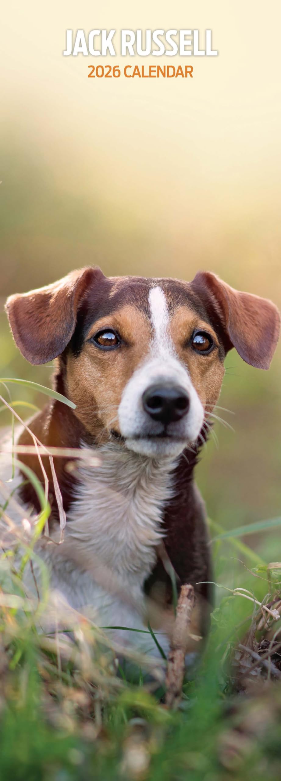 Jack Russell 2026 Slim Calendar