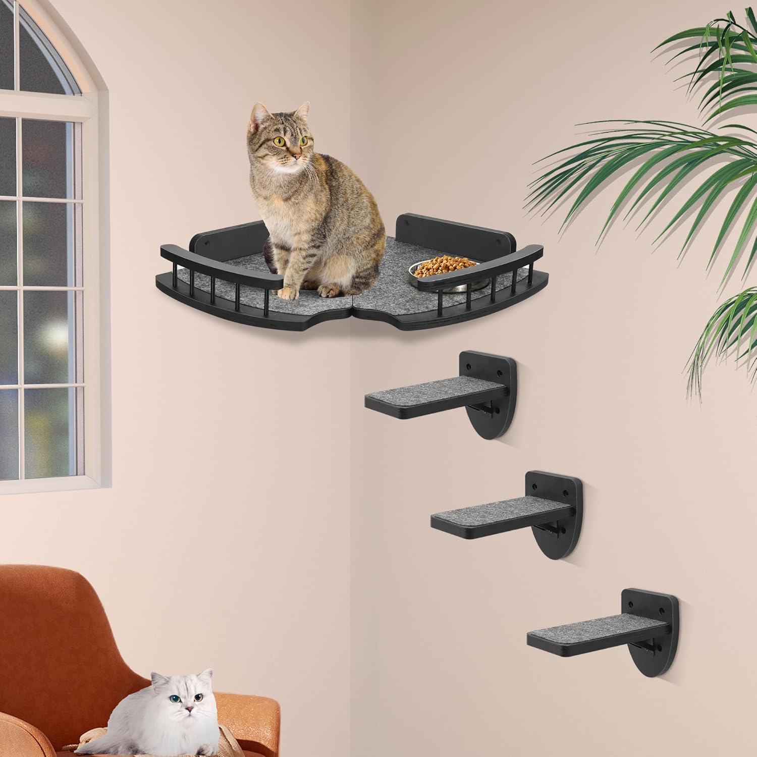 Arena Aglomerante Para Gatos Estantes Y Perchas Para Gatos Para