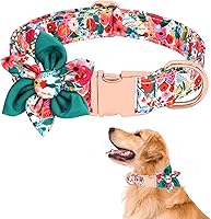 Vista 11 de Collar de perro femenino para perros pequeños/medianos/grandes, suave y cómodo ajustable con hebilla de seguridad, collar de perro para perros