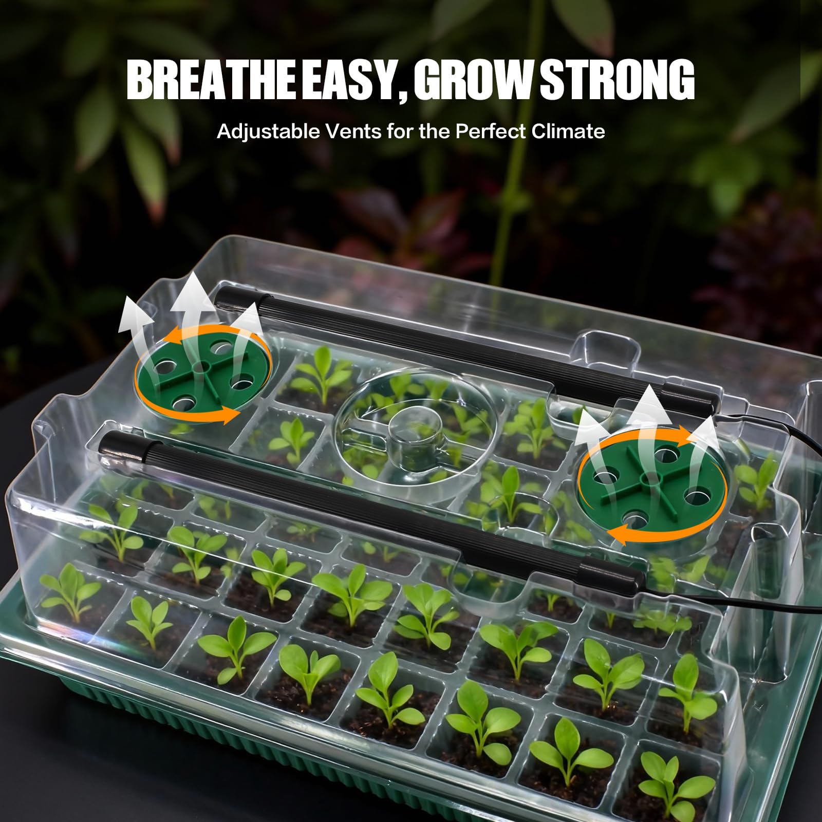 joyhalo Bandeja de inicio de semillas con luz de crecimiento, paquete de 2 80 celdas, kit de inicio de plantas gruesas con cúpula de humedad, kit de germinación de brillo ajustable, bandejas de