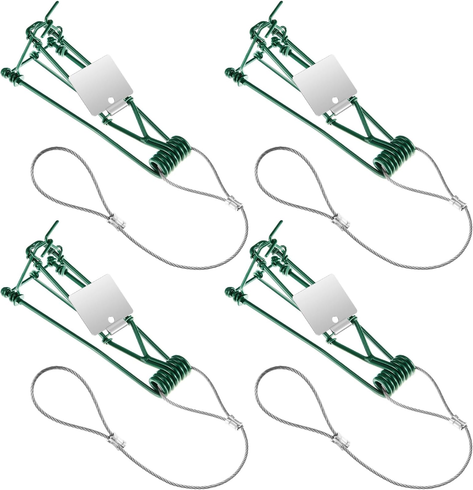Qualirey 4 Pcs Gopher Trap with Chain Mole Vole Trap Gopher Killer Stainless Steel Weather Resistant for Lawn Garden Farm Outdoor (Green)