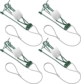Qualirey 4 Pcs Gopher Trap with Chain Mole Vole Trap Gopher Killer Stainless Steel Weather Resistant for Lawn Garden Farm Outdoor (Green)