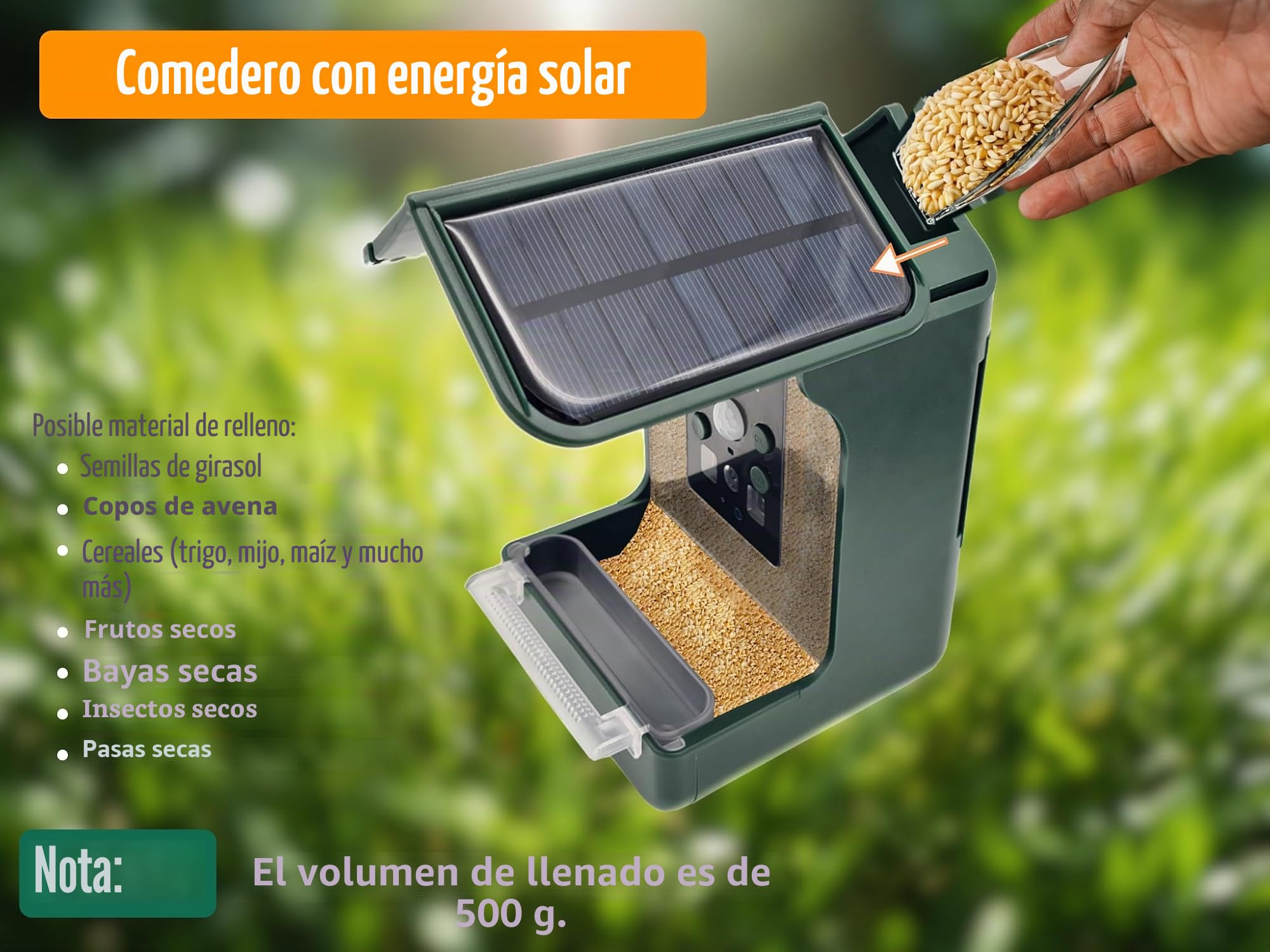 Berger & Schröter | Comedero para pájaros con cámara 1080P, Bebedero de Agua Solar de 940 NM IR LED automático/grabación de Fotos de Aves, detección de Movimiento, visión Nocturna