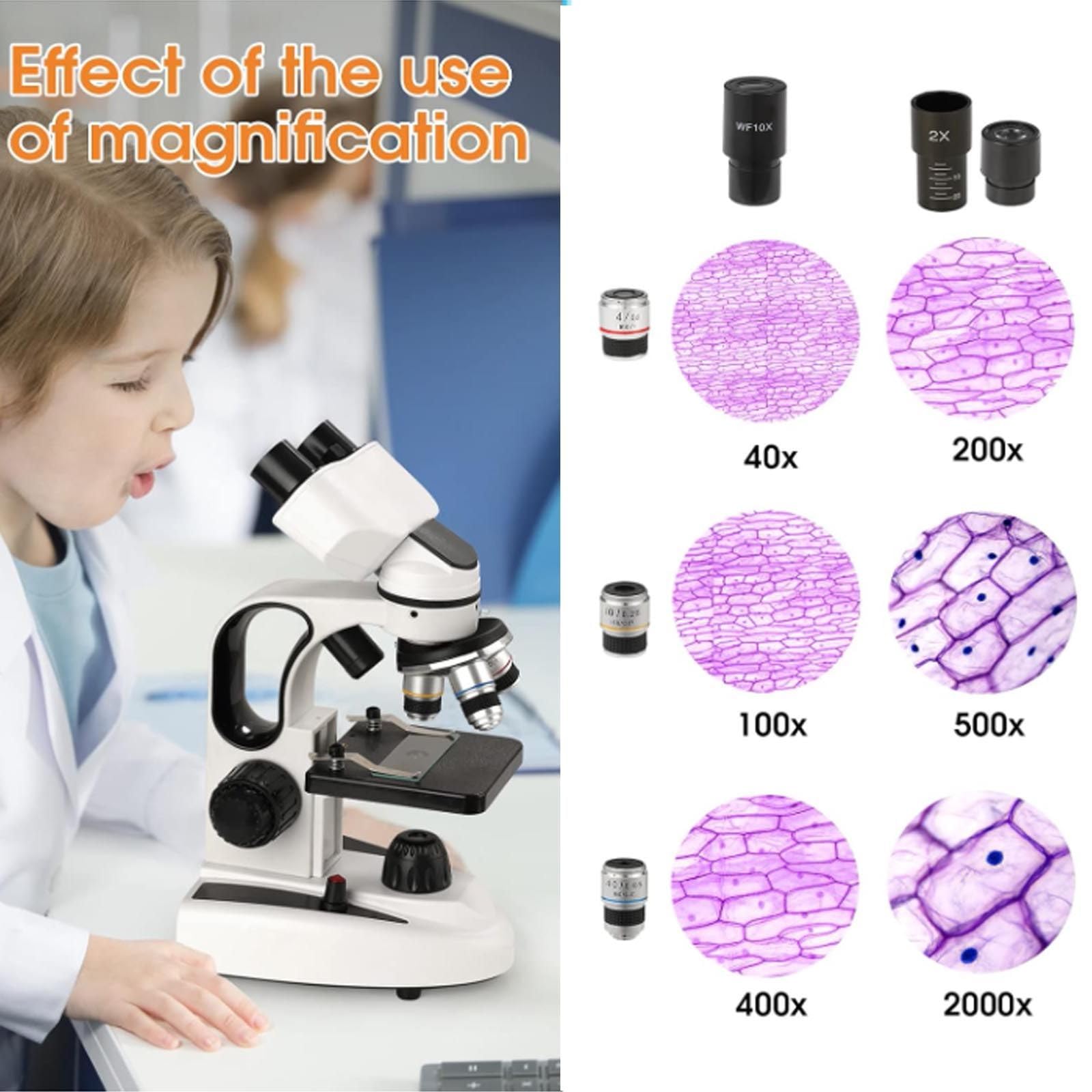 Microscopio Composto Binoculare 40x-2000x, Kit Microscopio da Laboratorio Doppio LED, Oculare WF 10x E 25x/Adattatore per Telefono/Tavola Meccanica, per Studenti, Bambini E Adulti,White