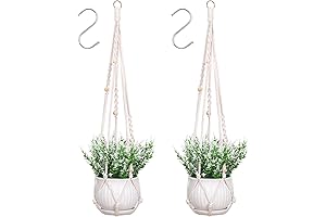 Macrame Plant Hanger: Elevate Your Indoor Plant Aesthetics