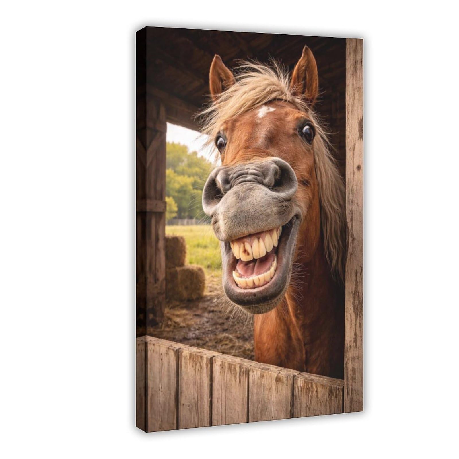 Qnvjqkdsi Frame Funny Horse Teeth Animal Art Canvas Poster Bedroom Decor Landscape Office Room Decor Gift 24" L X 36" W