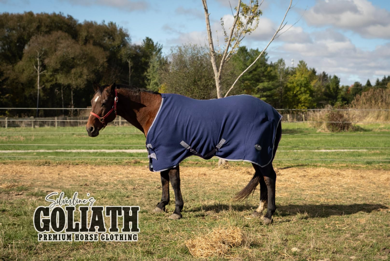 Drap Cheval Rugged Ride Taille 78 Pouces – Violet – Léger Et Robuste – Bon état
