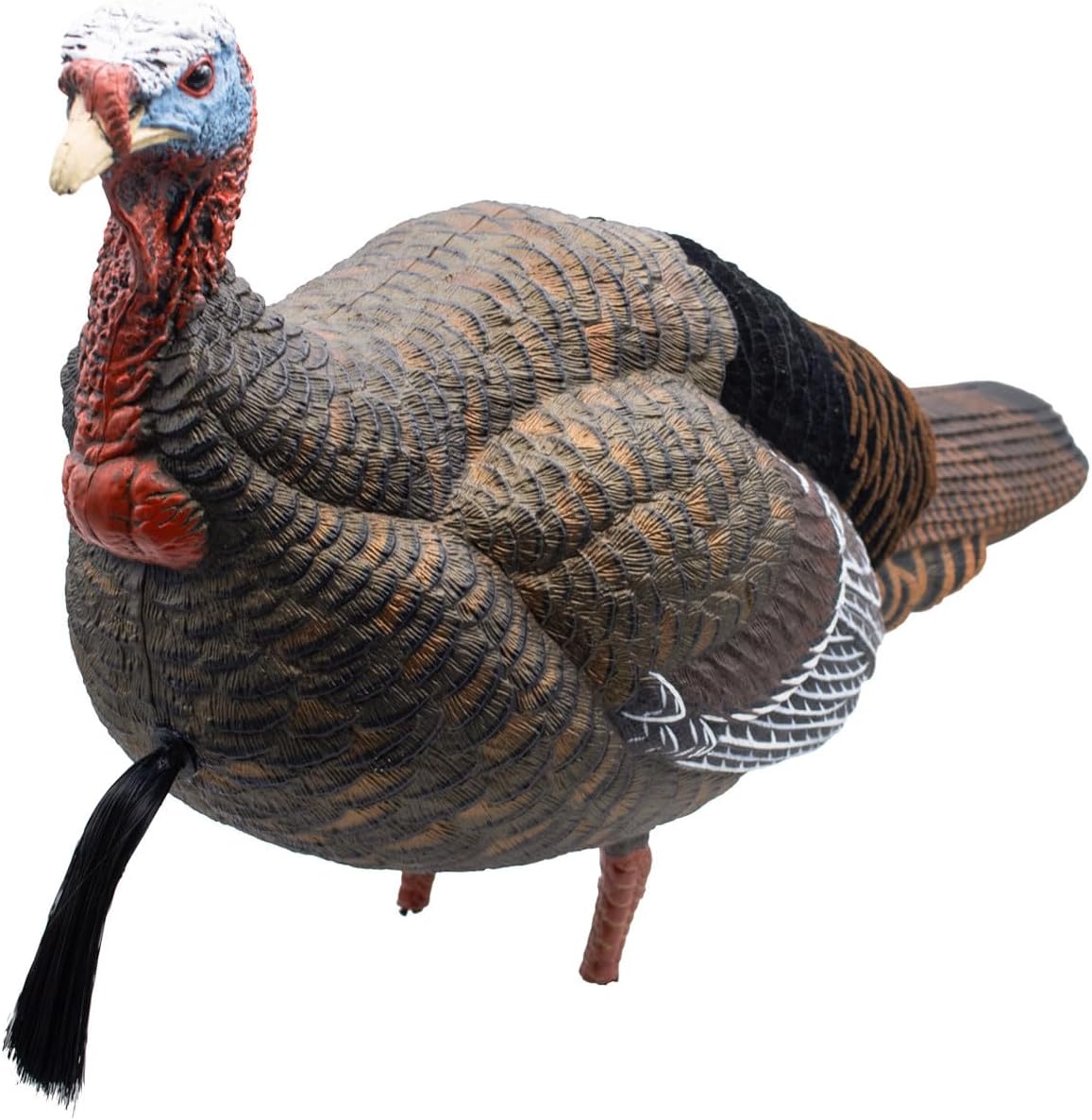 Final Approach Live Jake Turkey Decoy with Flocked Back