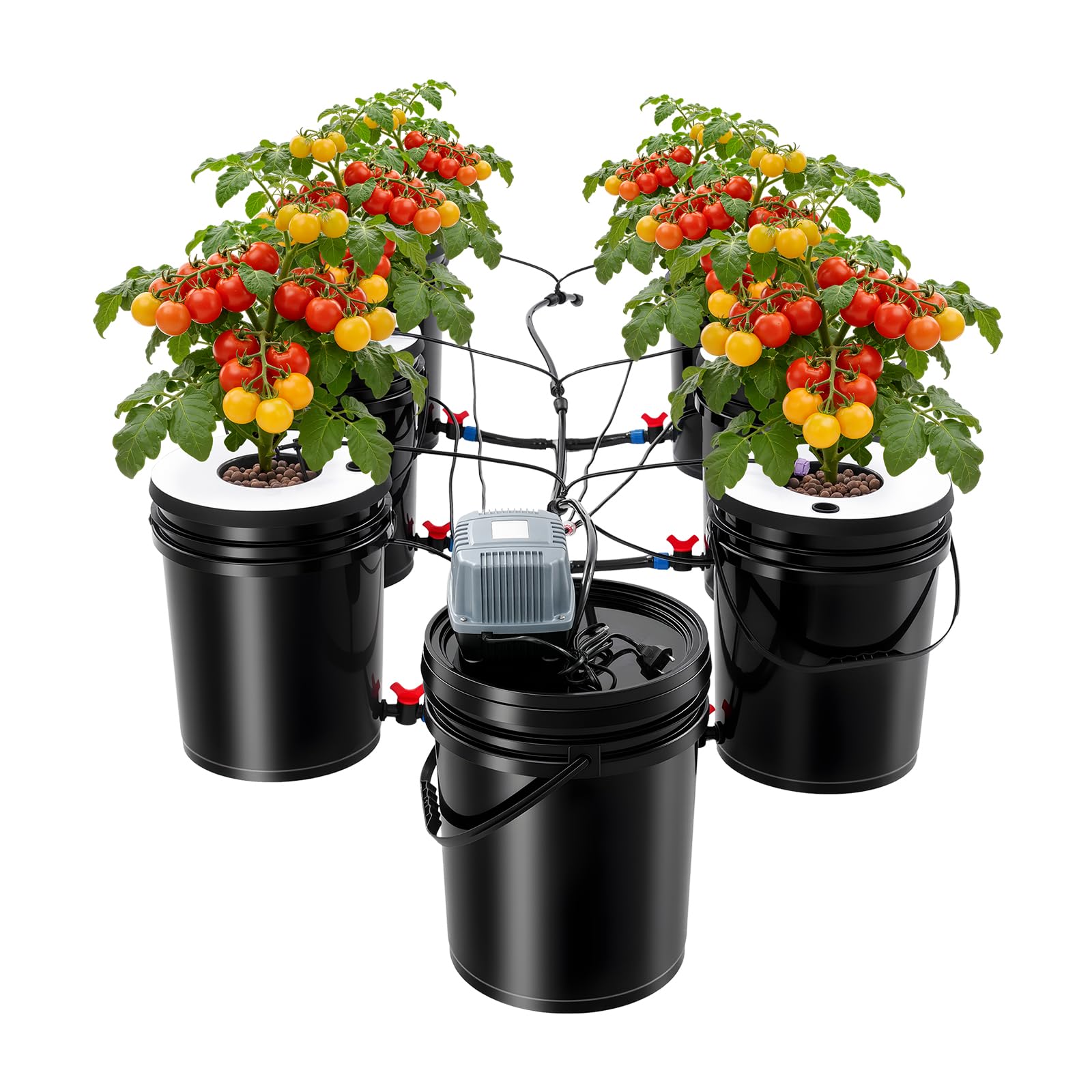 Madelynn Dwc - Kit de cultivo hidropónico (20 L, hidropónico, con 7 maceteros y bomba de aire, para tiendas de campaña en interiores y balcones)