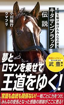 キタサンブラック　競馬ブックパネル 名馬キタサンブラック、パネル A4サイズ - メルカリ