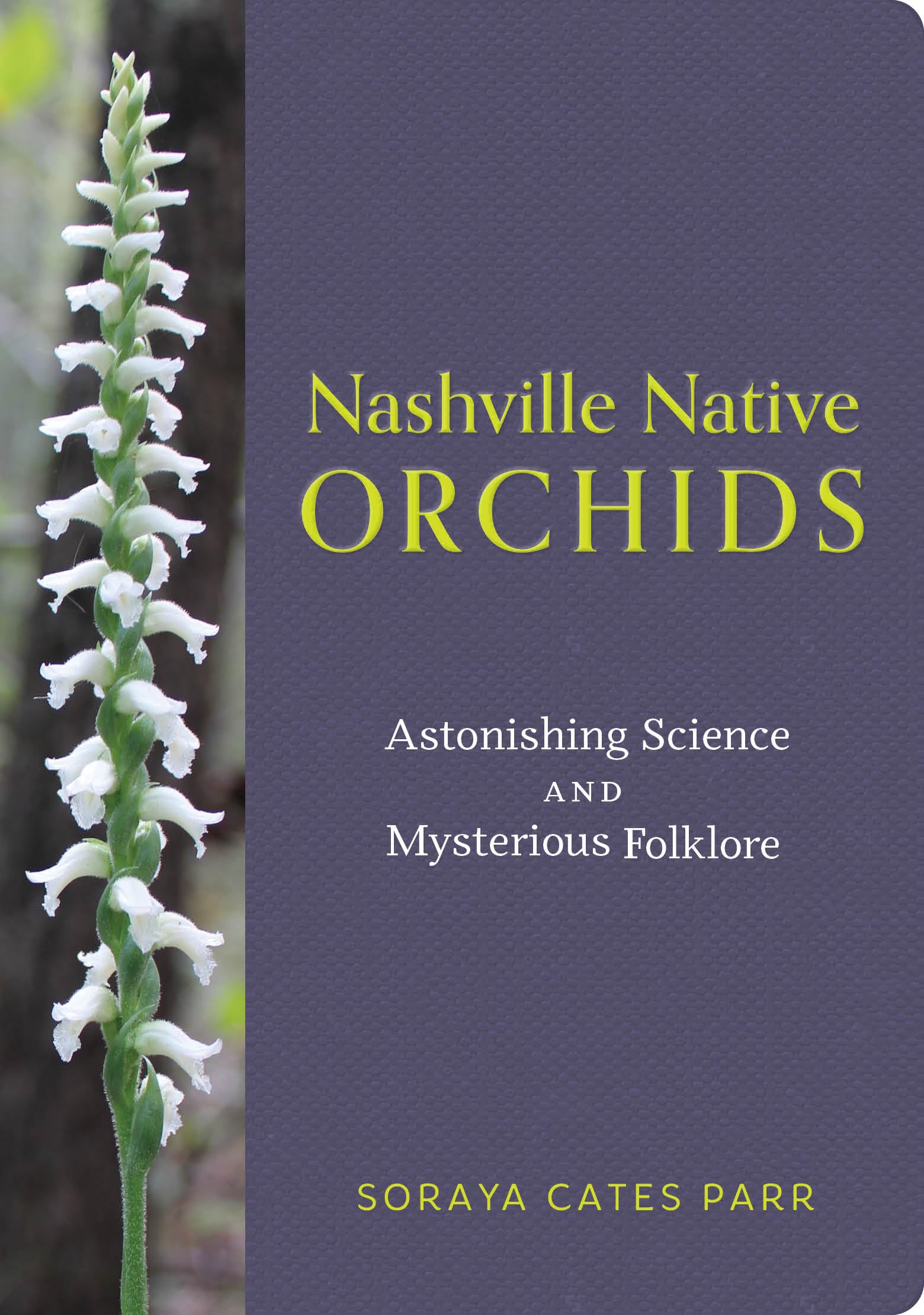 Wild Orchids: Their Stunning Beauty And Mysterious Habitats - ppalaz0