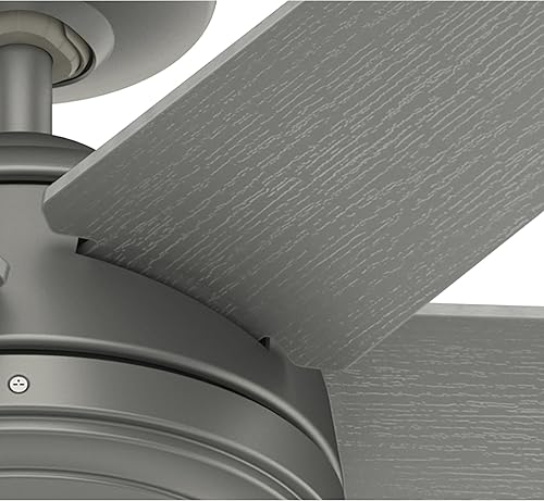 Miniatura 11 de Hunter Jetty WeatherMax - Ventilador de techo para interiores y exteriores con control de pared Plateado mate,Negro mate,bronce