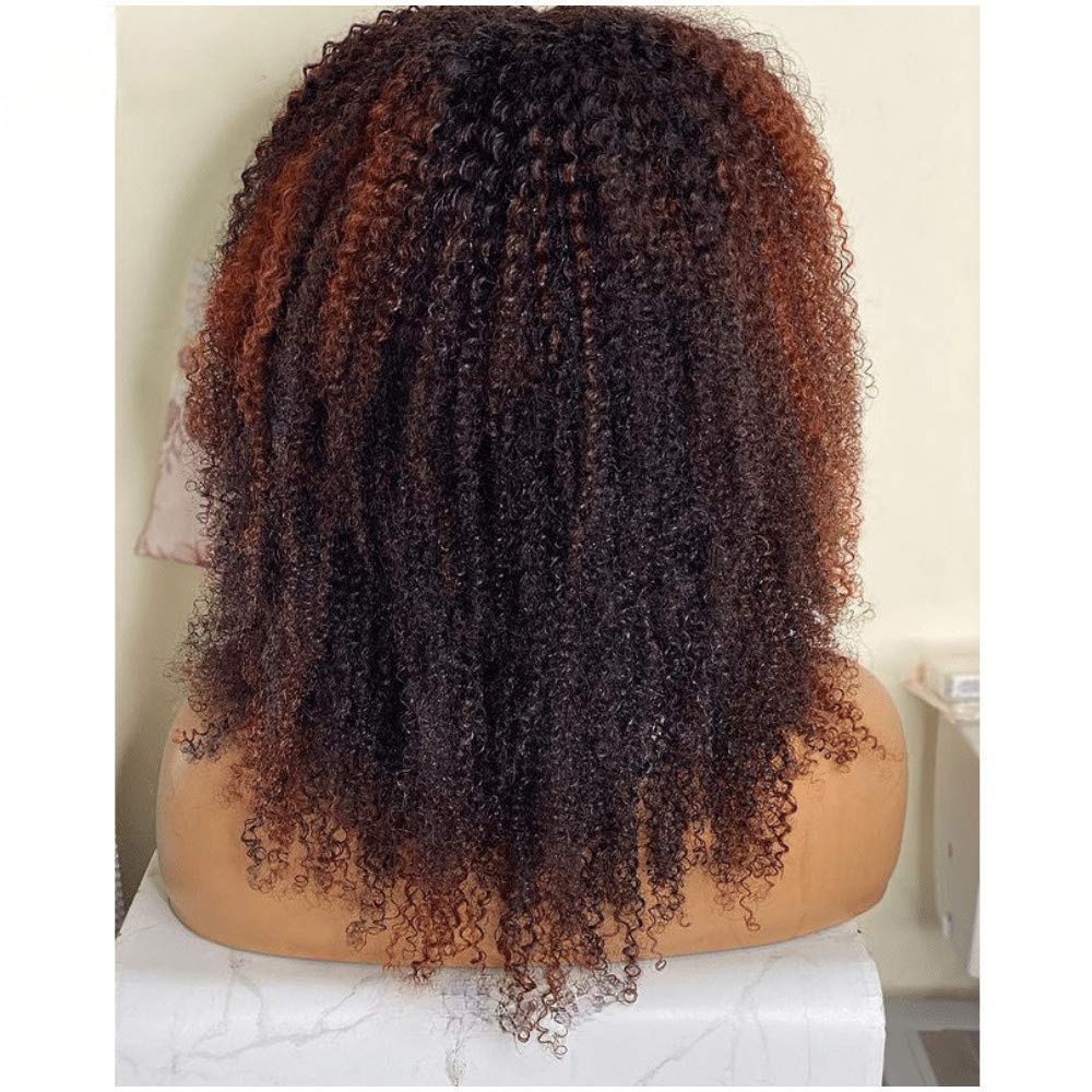 Brazilian Curly Afro wig with red highlights Amazon.com : 180% Density Rose Red Highlights Human Hair Wig  main image 3