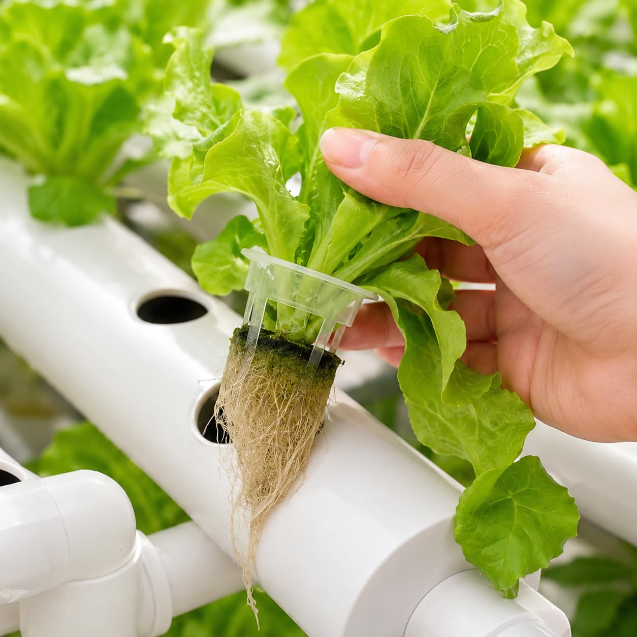 216 Site - Kit de cultivo hidropónico de 4 capas, sistema de cultivo de 24 tubos con bomba de agua para verduras, hierbas y frutas de hoja (4 capas y 20 tubos)