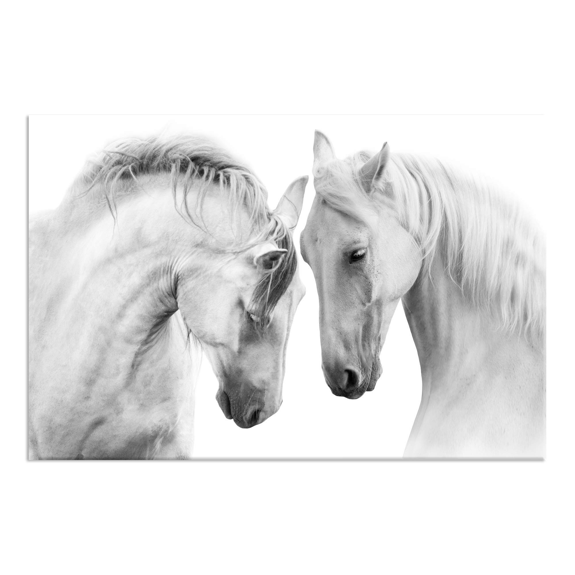 Amazon.co.jp: 大きな白い馬 キャンバス ウォールアート アニマル