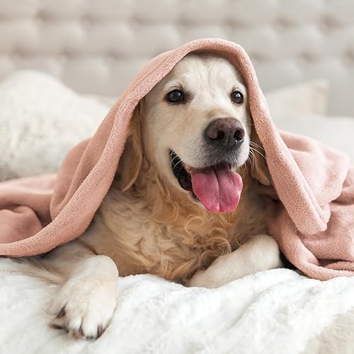 Miniatura 42 de BEDELITE Fleece Blanket White Throw Blanket for Couch & Bed, Luxury Plush Cozy Fuzzy Blanket 50" x 60", Super Soft Warm Lightweight Throw Blanket