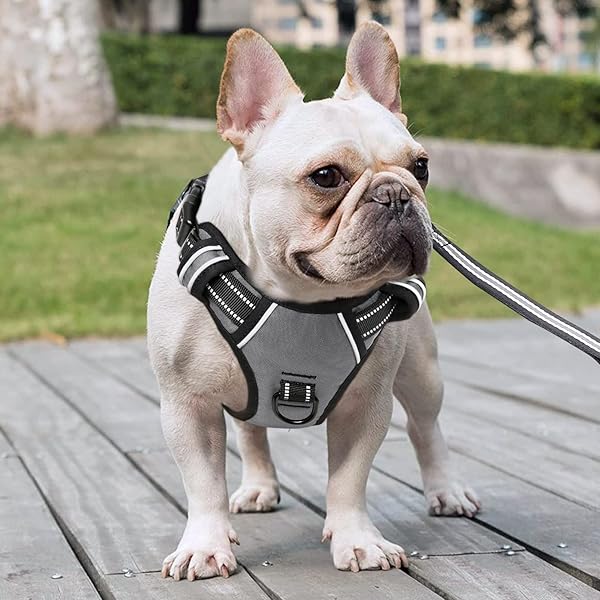 HEELE Pettorina Cane, Imbracatura Sganciata Rapido dal Collo, Pettorina Anti-tiro Riflettente e Regolabile con Maniglia Comoda, Morbida e Imbottita per Cani Piccola Media Grande, Grigio M - 3