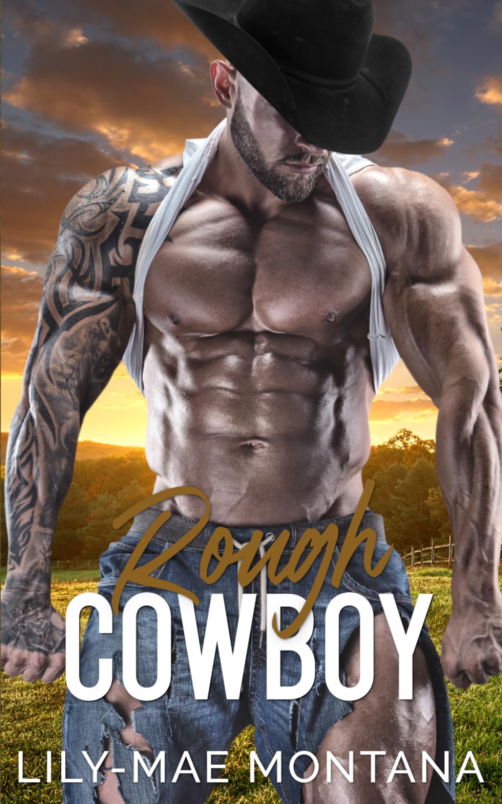 Rough Cowboy: A Steamy Enemies to Lovers Pregnancy Western Romance (Rocky Ridge Creek)