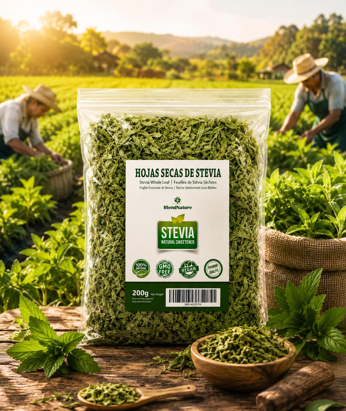 Feuilles de stévia 100 % pures et naturelles-Sélection de qualité supérieure 200g-Végétalien-Cadeau de boule d'infuseur