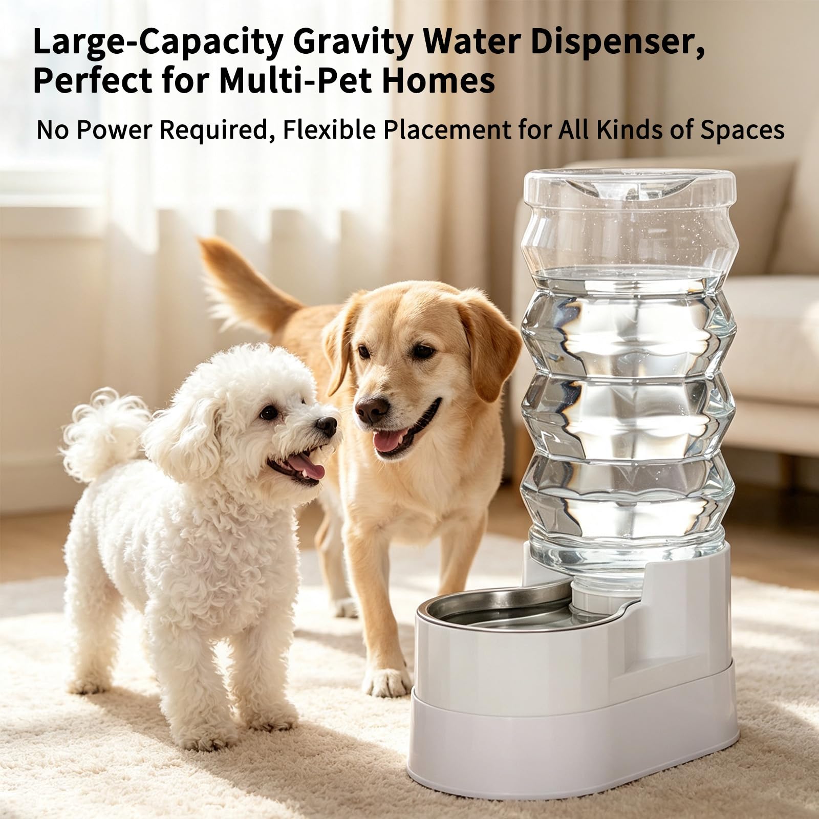 RIZZARI Dispensador elevado de agua para perros de acero inoxidable de 9 litros, bebedero automático por gravedad con diseño de hidratación filtrada, altura cómoda para beber para perros grandes y