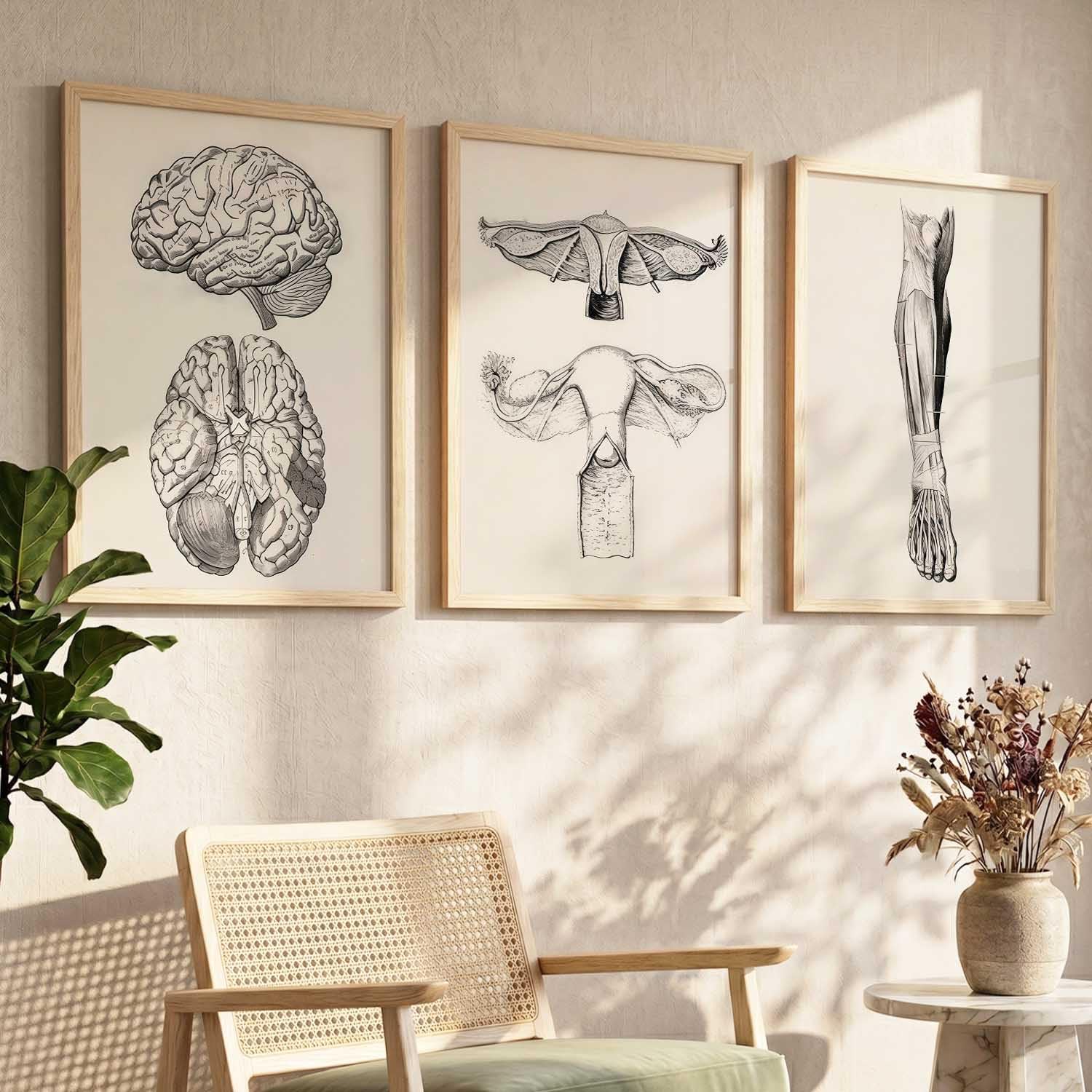 Floral Chiropractic Wall Art Posters - Set of 3 -12 Floral Chiropractic Wall Art Posters - Set of 3 -12