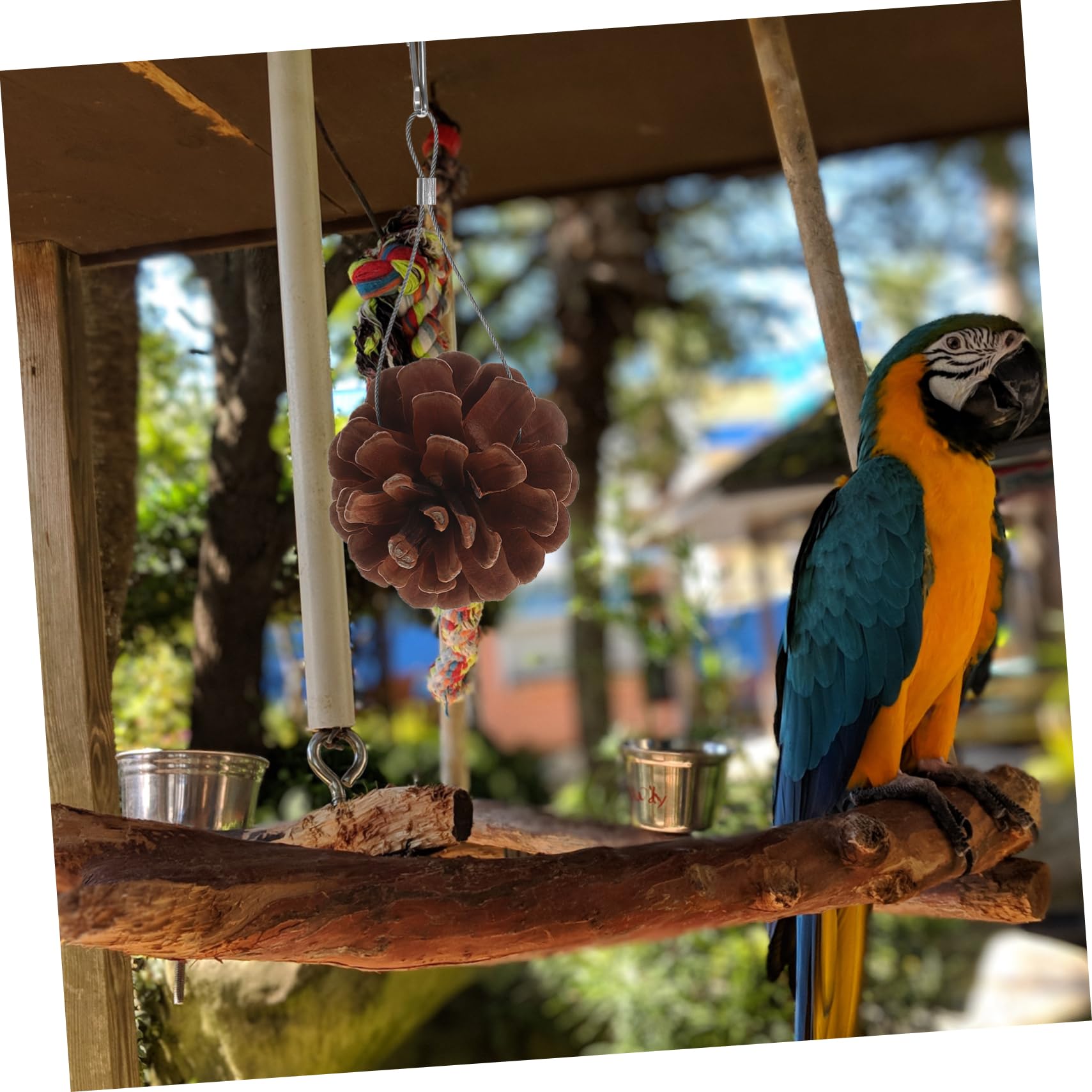 BESPORTBLE 20pièces Jouets à Mordre pour Oiseaux Pigne Naturel Accessoires De Jeu Suspendus pour Perruches Et Perroquets pour Forage Divertissement