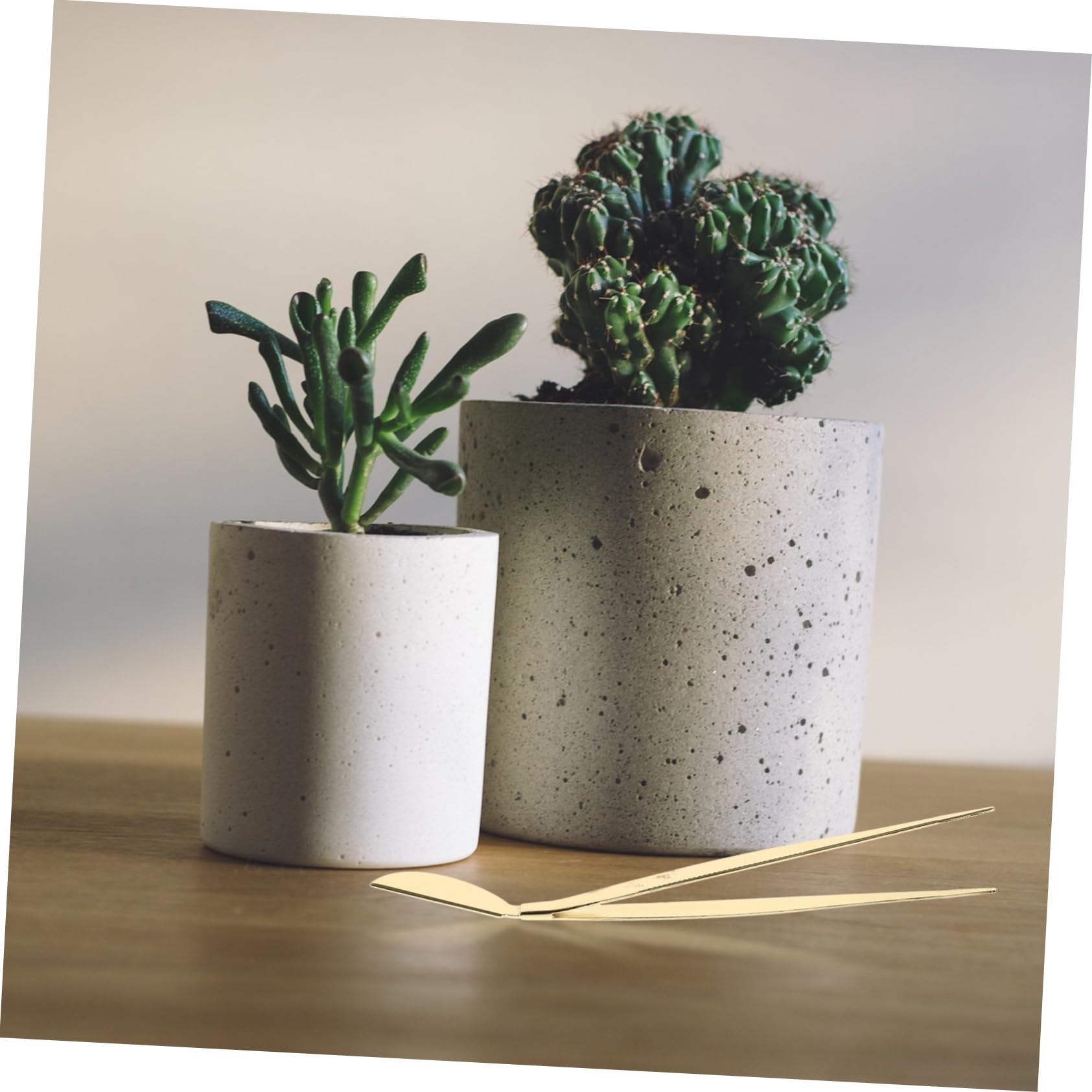 BESPORTBLE 5 Pz Pinzette Per Bonsai Pinzette Per Alberi Bonsai Pinzette Per Raschietto Da Giardino Attrezzi Per Bonsai Pinzette Dritte Comode Pinzette Per Piantare Acciaio Inossidabile Golden