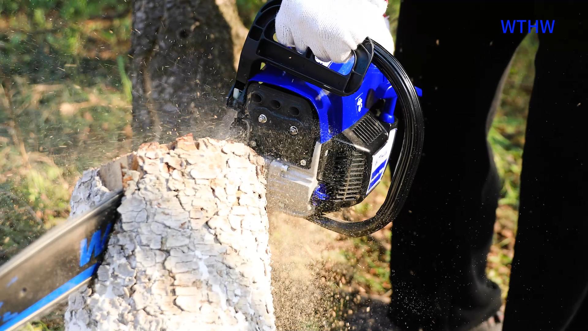 Amazon.com: WTHW 58 cc Gas Powered Chainsaw, 20 in & 18 in