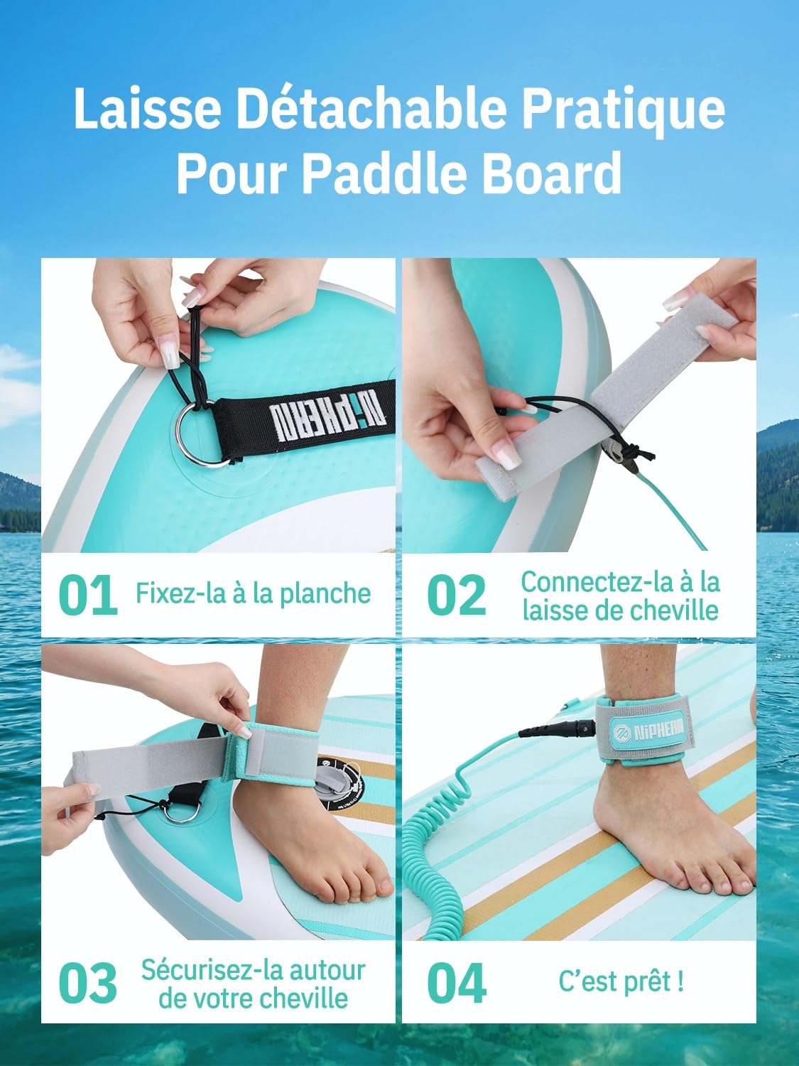 niphean Leash Paddle 1–3m, Leash Surf Élastique en Spirale 5mm, Leash Bodyboard Résistant avec Embout, Anti-Enchevêtrement, Confortable&Réglable pour Sup, Surf, Bodyboard, Boogie