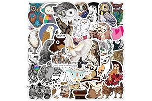 100 Pieces Owl Stickers for Adults and Kids